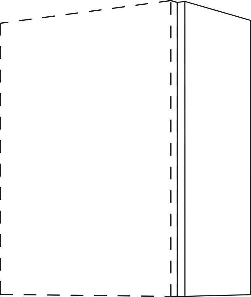 WS-3